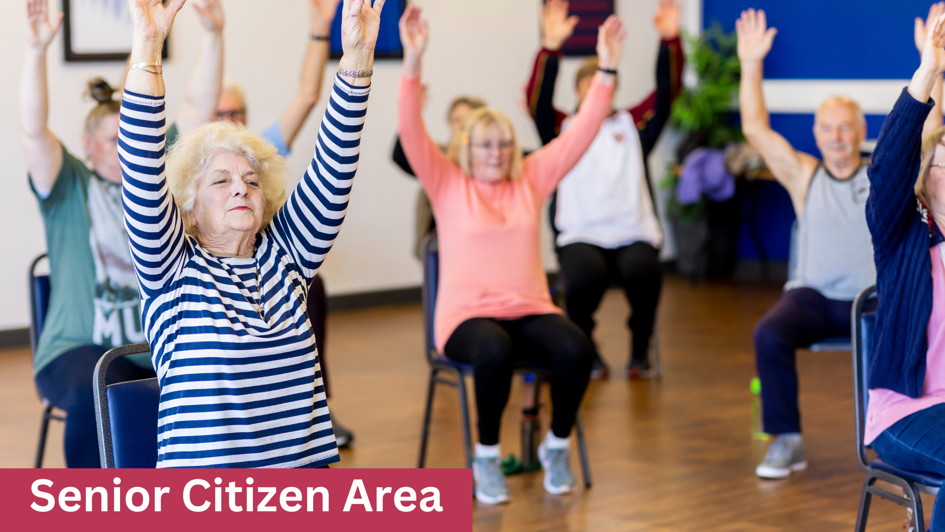 Senior Citizen Area (1)